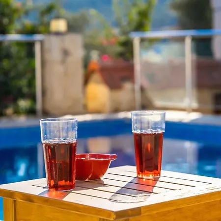 Eco Gizem Kalkan
